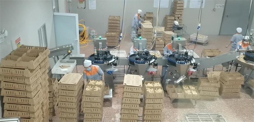 ca88手机客户端(安卓/苹果)CA88会员登录入口
